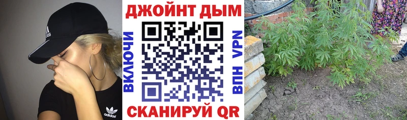 Магазин наркотиков Камызяк А ПВП МЕФ ГАШИШ Бошки Шишки COCAIN